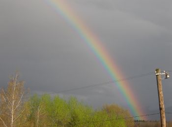 Percorso A piedi Victoria - Victoria - Muchia Tărâța - Cabana Podragu - Photo