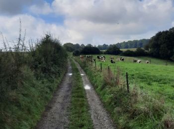 Tour Reiten Walcourt - Mertenne-bois de Pry - Photo