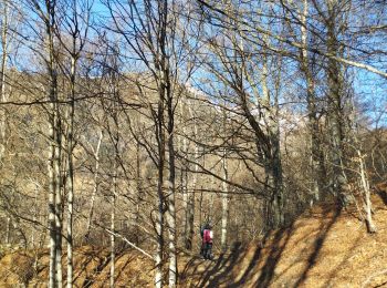Trail Walking Barèges - Barèges circuit raquettes  - Photo