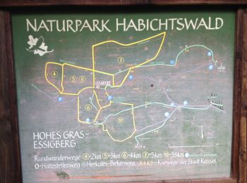 Randonnée A pied Inconnu - Habichtswaldsteig - Extratour Habichtswald - Photo
