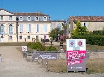 Tocht Stappen Marennes-Hiers-Brouage - Château de la gataudière Marennes 17   7 km100 - Photo