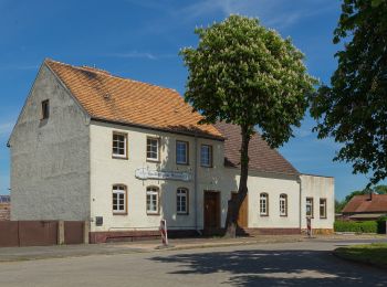 Percorso A piedi Märkische Heide - Wanderweg Dürrenhofe-Krugau-Groß Leuthen - Photo