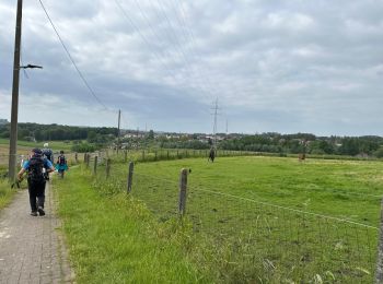 Trail Walking Halle - Lembeek 27 km - Photo