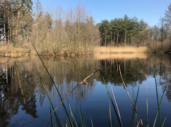 Excursión A pie Aspach - Keuperlehrpfad - Photo