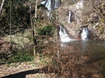 Randonnée Marche Chenailler-Mascheix - gorges de mémoire et cascade gourlastine - Photo
