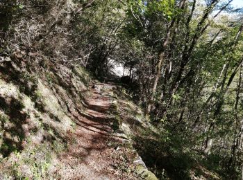 Trail Walking Courmes - bramafan cipieres - Photo