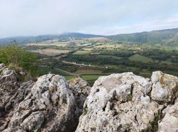 Randonnée Marche Solutré-Pouilly - La roche de Solutré  - Photo