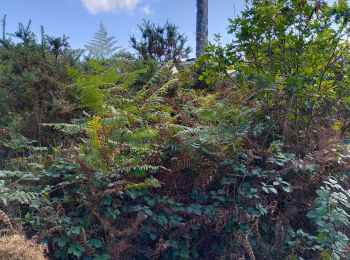 Tocht Stappen Saint-Georges-de-Rouelley - autour de la fosse Arthour - Photo