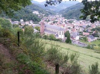 Tocht Mountainbike Orbey - Les Balcons d'Orbey (version courte) - Photo