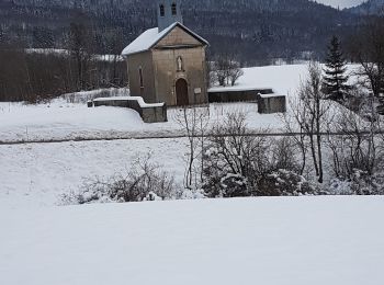 Tocht Sneeuwschoenen Belleydoux - Belleydoux-ste Anne - Photo