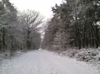 Trail On foot Oer-Erkenschwick - Haardgrenzweg Rundweg A6 - Photo