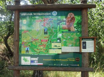 Trail On foot Waldkappel - Premiumweg P17 Waldkappeler Berge - Photo