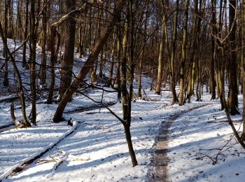 Trail Nordic walking Frameries - 13 février  - Photo