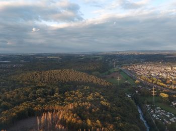 Randonnée A pied Troisdorf - Telegraphenberg-Tour - Photo