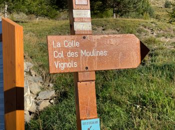 Trail Walking Péone - Mont Mounier - Photo