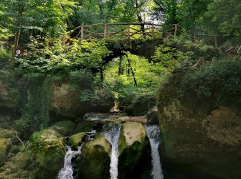 Trail Walking Waldbillig - Les cascades du Schiessentümpel W7 - Photo