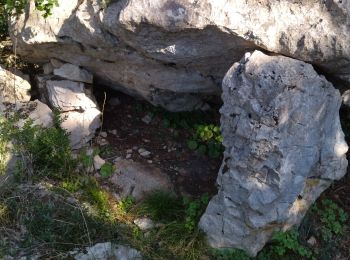 Trail Walking Laroque - 34 laroque grotte du pin - Photo