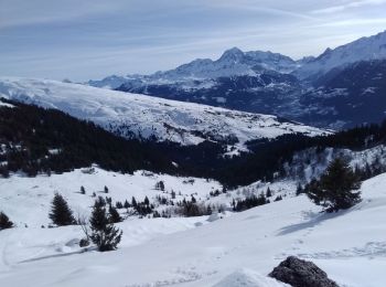 Excursión Esquí de fondo La Plagne-Tarentaise - La Chaille. col à l'ouest du Rocher st Laurent - Photo