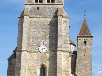 Trail Walking Saint-Bris-le-Vineux - StBris le Vineux - Photo