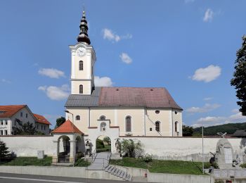 Randonnée A pied Sankt Stefan im Rosental - St. Stefan Rundwanderweg 2 - Photo