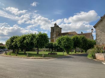 Tocht Stappen Montjavoult - Montjavoult - Photo