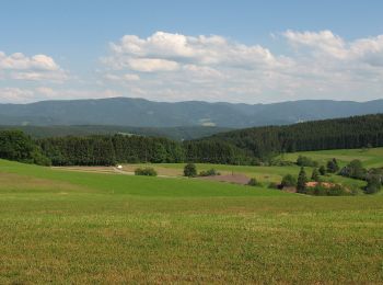 Tocht Te voet Schuttertal - Achatweg - Photo