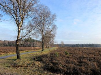 Trail On foot Heerde - Dellen wandeling - Photo