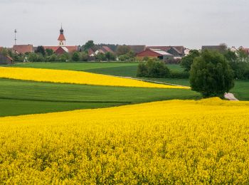 Randonnée A pied Greding - Quellenwanderweg - Photo