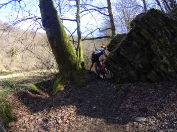 Trail Mountain bike Libin - VTT sur redu - Photo