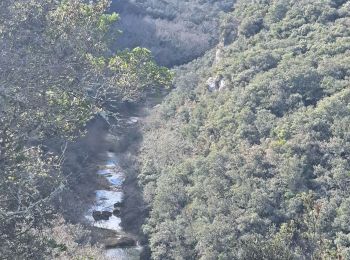 Tour Wandern Lussan - de Prades au Concluses - Photo