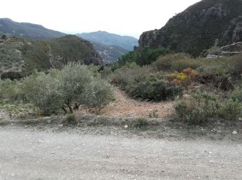 Tour Wandern Lentegí - Lentegi 2019 - Photo