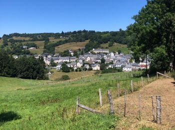 Tour Wandern Montgreleix - Mongreleix Egliseneuve d’Entraigues - Photo