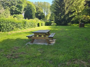 Tocht Stappen Nouzilly - Nouzilly - Circuit des Orchidées  - Photo