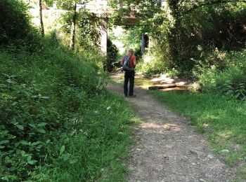 Trail Walking Bellevigne-en-Layon - Faye d’Anjou  - Photo