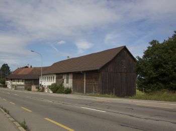 Randonnée A pied Volketswil - Kindhausen - Baltenswil - Photo