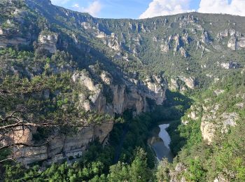 Tour Wandern Gorges du Tarn Causses - de St Enimie aux Vignes - Photo