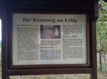 Excursión A pie  - Roter Schmetterling, Rundwanderweg Schweinheim Erbig - Photo