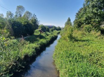 Trail Walking Longjumeau - Boucle 23 km autour de Longjumeau - Photo