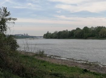 Tour Wandern Blois - les Grouets 26.04.21 - Photo