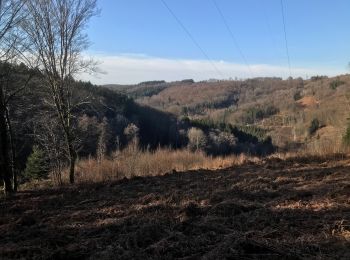 Trail Walking Fougerolles-Saint-Valbert - Balade Sarcenot 1h - Photo