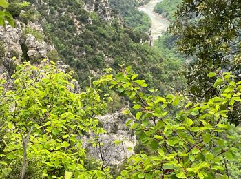 Randonnée Marche Aiguines - Grand Marges Gorges Verdon réel - Photo
