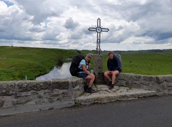 Tocht Stappen Peyre en Aubrac - live Aumont Aubrac - Nasbinals  - Photo