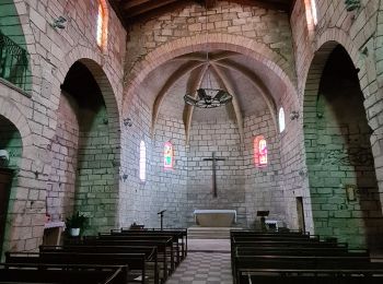 Excursión Senderismo Le Cailar - cailar-costieres-camargues - Photo