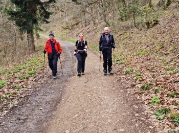Trail Walking Jungholtz - Rando Retrouvailles...01/03/2024.par Jean Marc - Photo