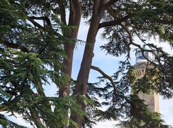 Tour Wandern Fatouville-Grestain - HONFLEUR 07 - Phare de Fatouville (Normandie) - Photo