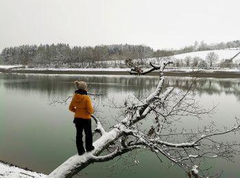 Trail Walking Bütgenbach - Le lac miroir à Bütgenbach   - Photo