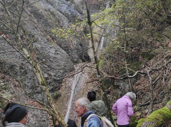 Tocht Stappen Vaunaveys-la-Rochette - Vaunavey cascade St Denis  - Photo