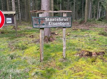 Trail Walking Büllingen - Rocherath (Rocher de Bieley) 12 Km - Photo