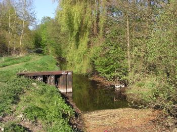 Percorso A piedi Wandlitz - Tegeler Fließtalweg - Photo