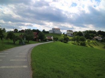 Percorso A piedi Laßnitzhöhe - sebastian RELOADED - Photo